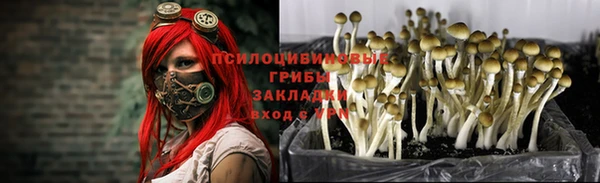 альфа пвп Остров